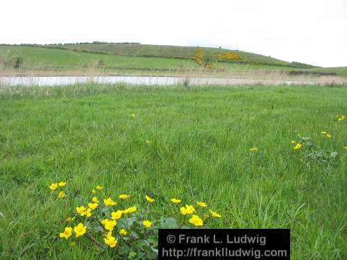 Lough Ardrea